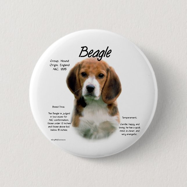 Beagle History; All About Beagles 6 Cm Round Badge (Front)