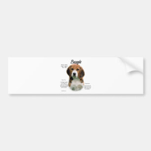 Beagle History; All About Beagles Bumper Sticker