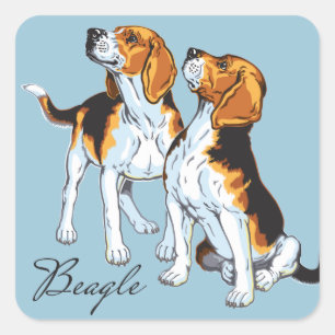 beagle hound square sticker
