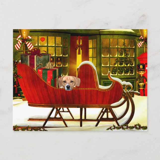 Beagle in a Christmas sleigh Holiday Postcard (Front)