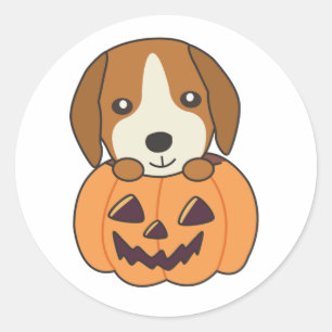 Beagle In Pumpkin Sweet Dogs Happy Halloween Classic Round Sticker