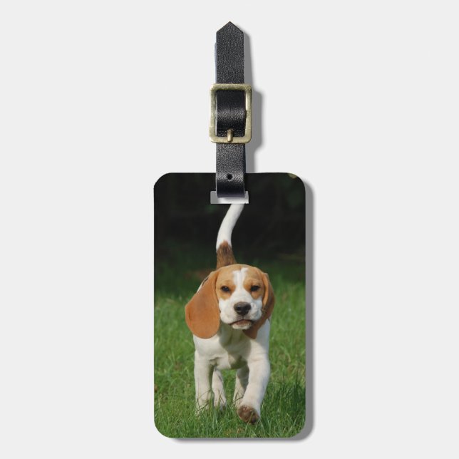 Beagle Insert Your Own Photo Luggage Tag (Front Vertical)