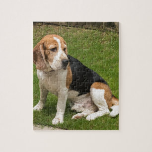 Beagle Jigsaw Puzzle