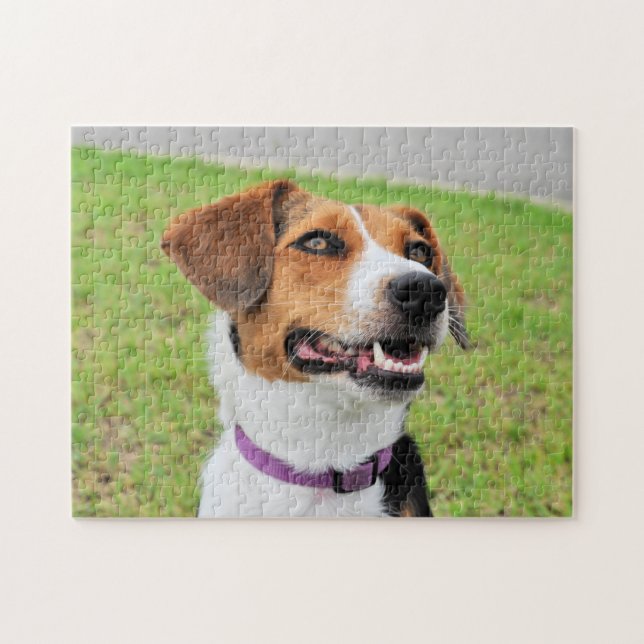 Beagle Jigsaw Puzzle (Horizontal)