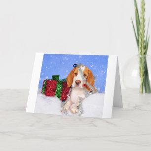 Beagle Jingle Holiday Card