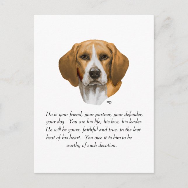 Beagle Keepsake MALE Postcard (Front)