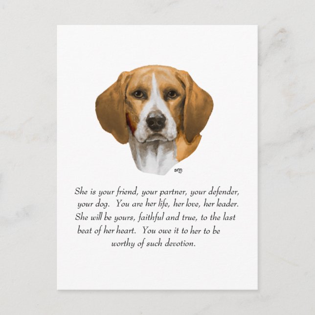 Beagle Keepsake Postcard (Front)