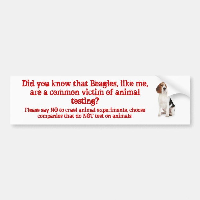 Beagle Like me/animal testing Bumper Sticker (Front)