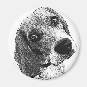 Beagle Love Magnet