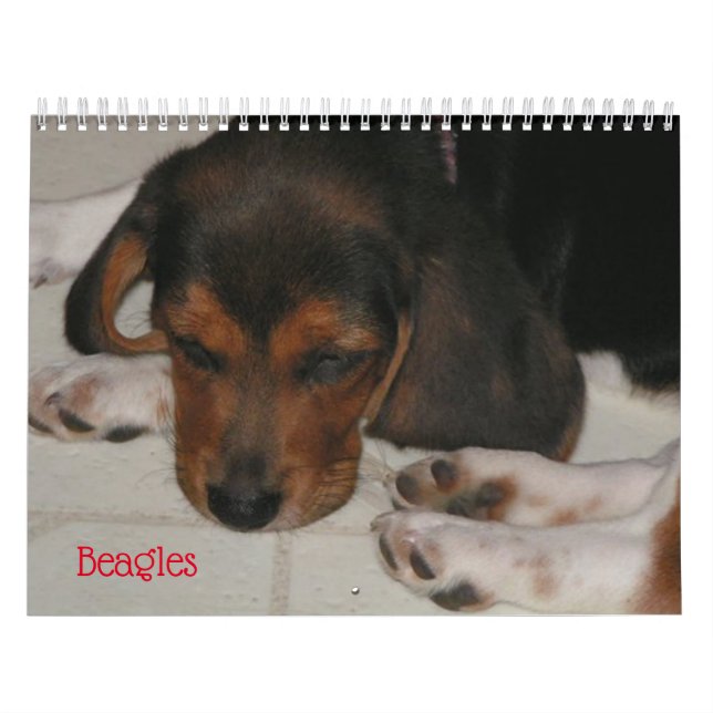 Beagle Lover Calendar (Cover)