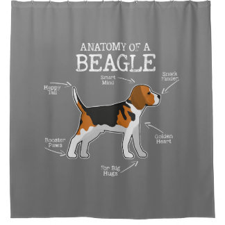 Beagle Lovers/ Anatomy Of A Beagle Shower Curtain