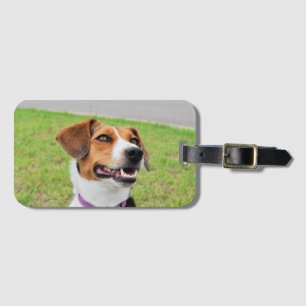 Beagle Luggage Tag