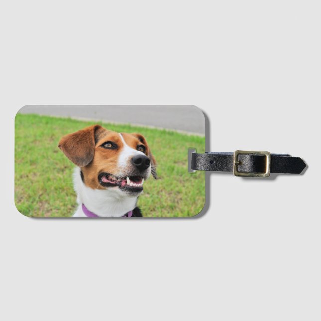 Beagle Luggage Tag (Front Horizontal)
