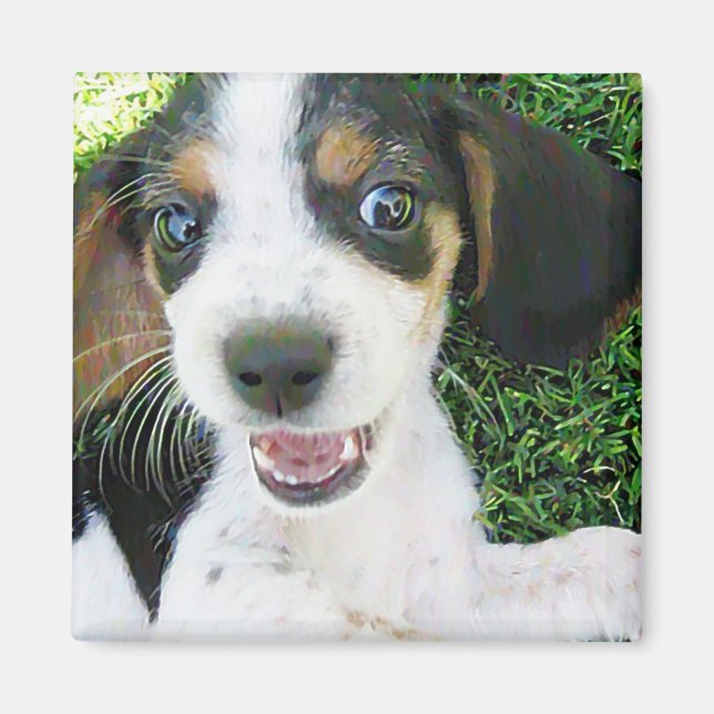 Beagle Magnet (Front)