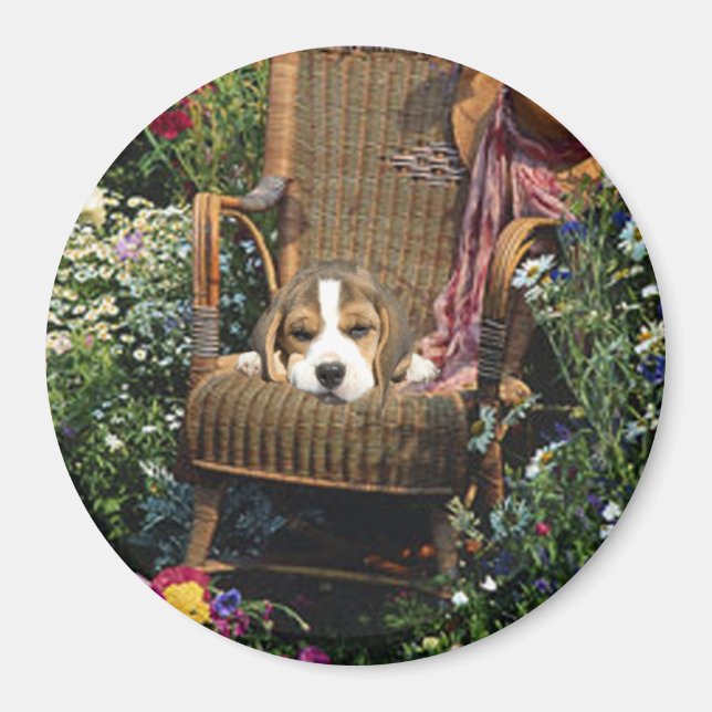 Beagle Magnet In Garden Chair (Front)