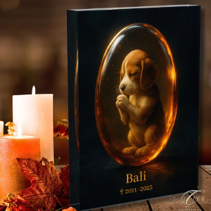 Beagle Memorial Photo Block