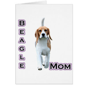 Beagle Mum 4