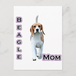 Beagle Mum 4 Postcard