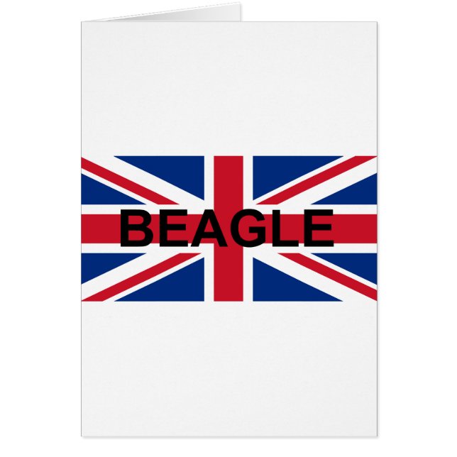 beagle name england United_Kingdom flag (Front)