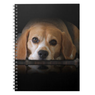 Beagle Notebook