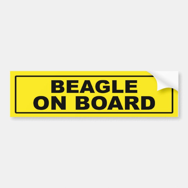Beagle on Board Bumper Sticker (Front)