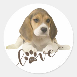 Beagle    paper plates classic round sticker