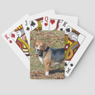 Beagle Playing Cards