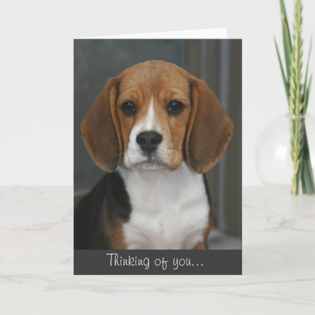 Beagle Portrait Card (Front)