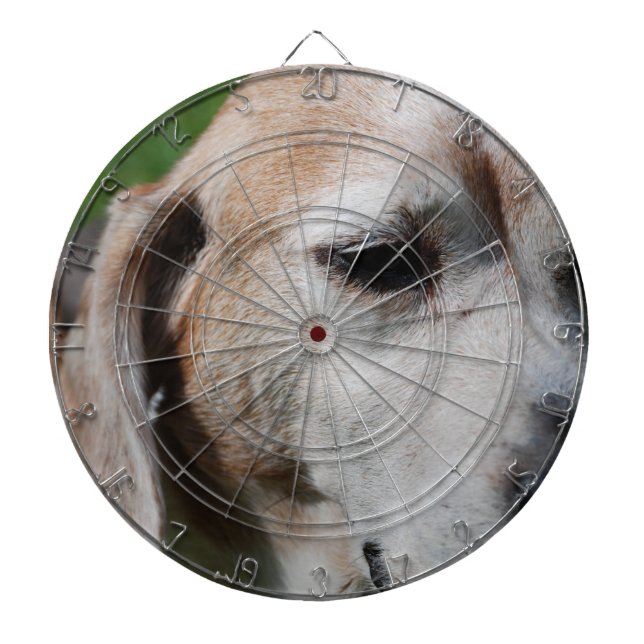 beagle portrait dartboard (Front)