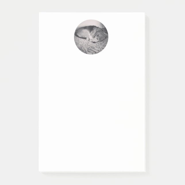 beagle post it note (Front)