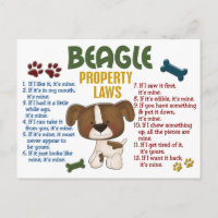 Beagle Property Laws 4