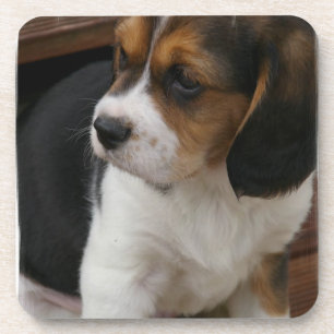 Beagle Pup  Cork Coasters