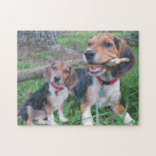 Beagle Pup Enjoying Chewing On a Stick Jigsaw Puzzle
