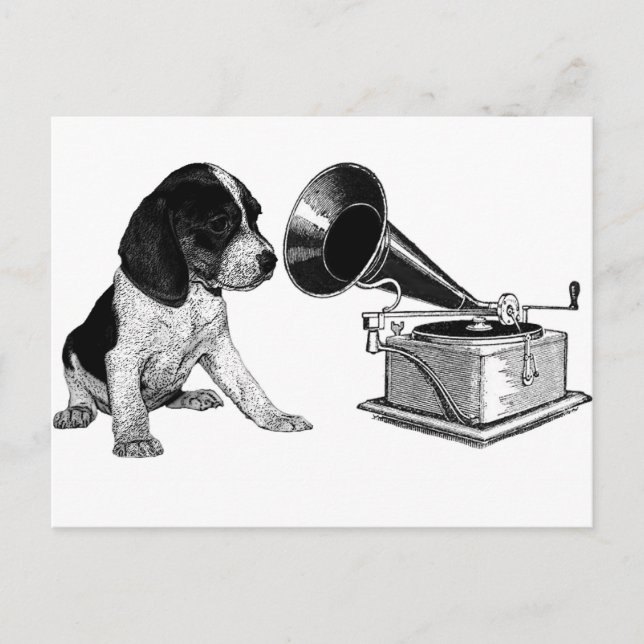 Beagle Pup with Gramophone Postcard (Front)
