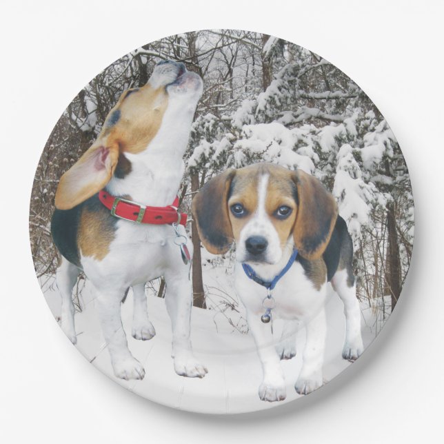 Beagle Puppies in the Snowy Woods Paper Plate (Front)