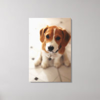 Beagle Puppy 2