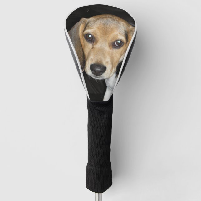beagle puppy 2 golf head cover (Front)