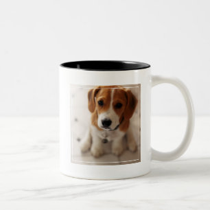 Beagle Puppy 2 Two-Tone Coffee Mug