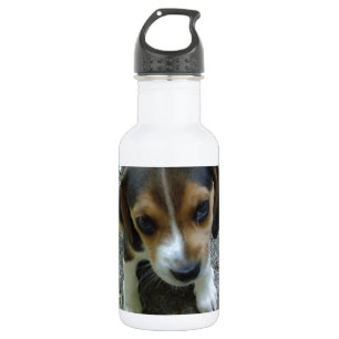Beagle_puppy_6_weeks.png 532 Ml Water Bottle