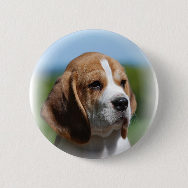 Beagle Puppy Button (Front)
