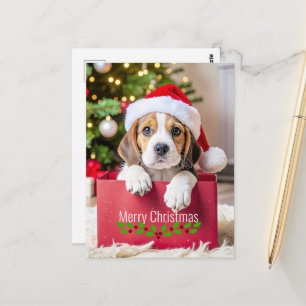 Beagle Puppy Christmas Design, Postcard