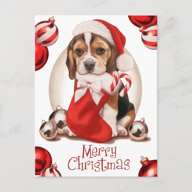 Beagle Puppy Christmas Holiday Postcard (Front)