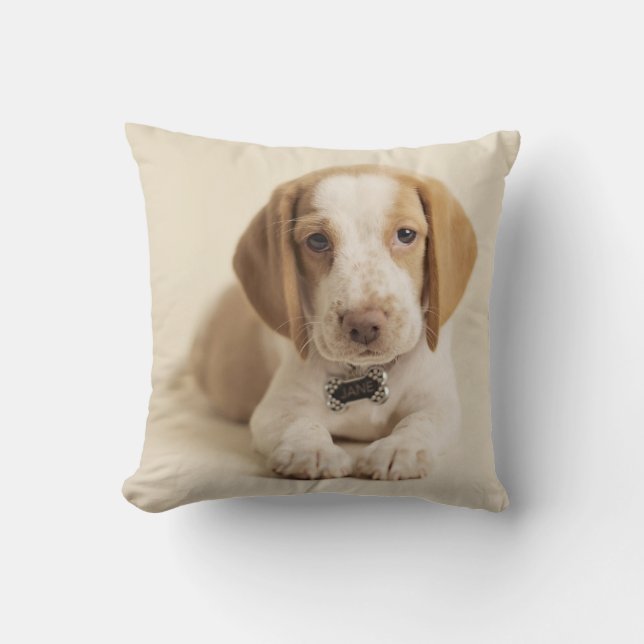 Beagle Puppy Cushion (Front)