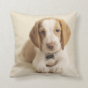 Beagle Puppy Cushion