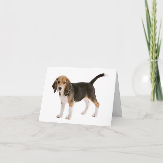 Beagle Puppy Dog Blank Note Card (Front)