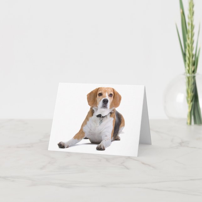Beagle Puppy Dog Blank Note Card (Front)