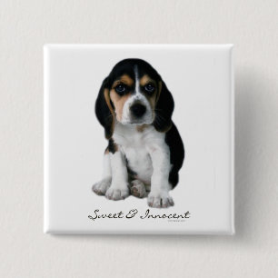 Beagle Puppy Dog Button