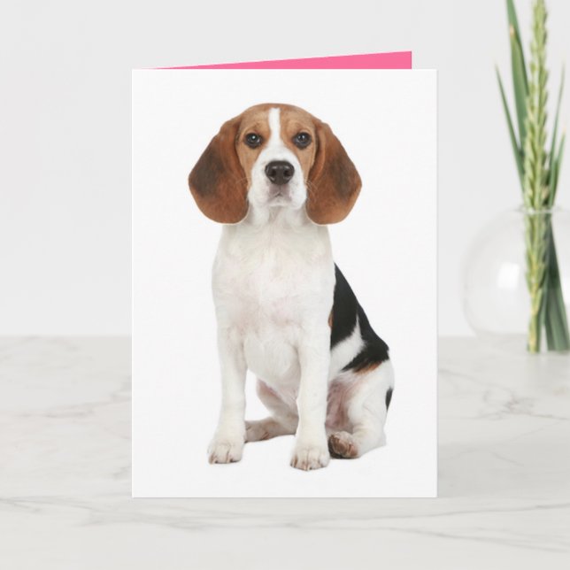 Beagle Puppy Dog Hello Thinkng of You Card (Front)