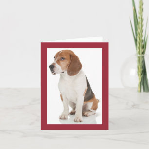 Beagle Puppy Dog Red Blank Note Card