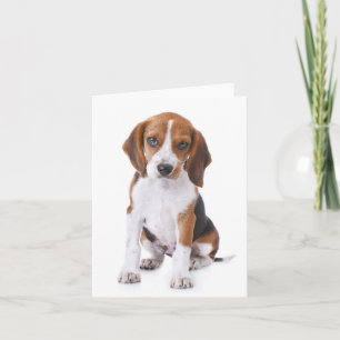 Beagle Puppy Dog Red Blank Note Card